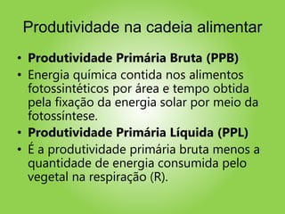 Produtividade na cadeia alimentar
• Produtividade Primária Bruta (PPB)
• Energia química contida nos alimentos
fotossintéticos por área e tempo obtida
pela fixação da energia solar por meio da
fotossíntese.
• Produtividade Primária Líquida (PPL)
• É a produtividade primária bruta menos a
quantidade de energia consumida pelo
vegetal na respiração (R).
 