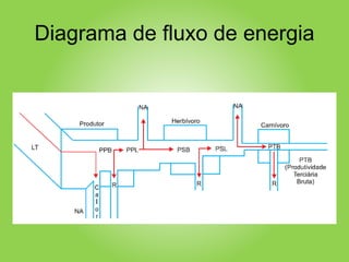 Diagrama de fluxo de energia
 