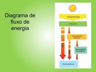 Diagrama de
fluxo de
energia
 