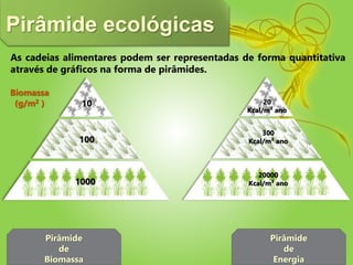 As cadeias alimentares podem ser representadas de forma quantitativa
através de gráficos na forma de pirâmides.
Pirâmide ecológicas
Pirâmide
de
Biomassa
Biomassa
(g/m2 )
1000
100
10
Pirâmide
de
Energia
20000
Kcal/m² ano
300
Kcal/m² ano
20
Kcal/m² ano
 