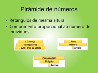 Pirâmide de números
• Retângulos de mesma altura
• Comprimento proporcional ao número de
indivíduos.
 