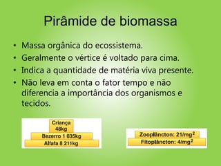 Pirâmide de biomassa
• Massa orgânica do ecossistema.
• Geralmente o vértice é voltado para cima.
• Indica a quantidade de matéria viva presente.
• Não leva em conta o fator tempo e não
diferencia a importância dos organismos e
tecidos.
 
