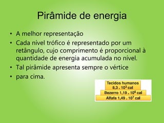 Pirâmide de energia
• A melhor representação
• Cada nível trófico é representado por um
retângulo, cujo comprimento é proporcional à
quantidade de energia acumulada no nível.
• Tal pirâmide apresenta sempre o vértice
• para cima.
 
