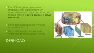 Frente 3 módulo 11 Transporte de Seiva Bruta e Elaborada | PDF