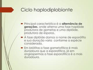 Ciclo haplodiplobionte
 Principal característica é a alternância de
gerações, onde alterna uma fase haplóide
produtora de gametas e uma diplóide,
produtora de esporos.
 À fase diplóide damos o nome de esporófito
e sua duração varia conforme a espécie
considerada.
 Em briófitas a fase gametofítica é mais
duradoura que a esporofítica, já em
angiospermas a fase esporofítica é a mais
duradoura.
 