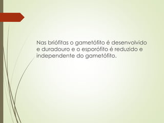 Nas briófitas o gametófito é desenvolvido
e duradouro e o esporófito é reduzido e
independente do gametófito.
 