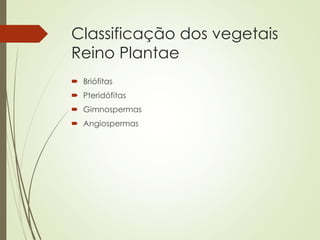 Classificação dos vegetais
Reino Plantae
 Briófitas
 Pteridófitas
 Gimnospermas
 Angiospermas
 