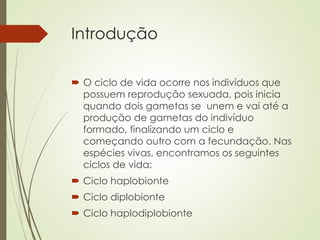 Introdução
 O ciclo de vida ocorre nos indivíduos que
possuem reprodução sexuada, pois inicia
quando dois gametas se unem e vai até a
produção de gametas do indivíduo
formado, finalizando um ciclo e
começando outro com a fecundação. Nas
espécies vivas, encontramos os seguintes
ciclos de vida:
 Ciclo haplobionte
 Ciclo diplobionte
 Ciclo haplodiplobionte
 