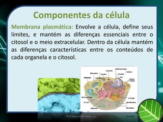 Componentes da célula
Membrana plasmática: Envolve a célula, define seus
limites, e mantém as diferenças essenciais entre o
citosol e o meio extracelular. Dentro da célula mantém
as diferenças características entre os conteúdos de
cada organela e o citosol.
Prof Zayra Prado Almondes
 
