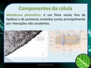 Componentes da célula
Membrana plasmática: é um filme muito fino de
lipídeos e de proteínas mantidas juntas principalmente
por interações não covalentes.
Prof Zayra Prado Almondes
 