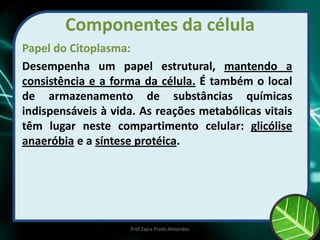 Componentes da célula
Papel do Citoplasma:
Desempenha um papel estrutural, mantendo a
consistência e a forma da célula. É também o local
de armazenamento de substâncias químicas
indispensáveis à vida. As reações metabólicas vitais
têm lugar neste compartimento celular: glicólise
anaeróbia e a síntese protéica.
Prof Zayra Prado Almondes
 