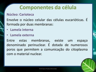 Componentes da célula
Núcleo: Carioteca
Envolve o núcleo celular das células eucarióticas. É
formada por duas membranas:
• Lamela interna
• Lamela externa
Entre estas membranas, existe um espaço
denominado perinuclear. É dotada de numerosos
poros que permitem a comunicação do citoplasma
com o material nuclear.
Prof Zayra Prado Almondes
 