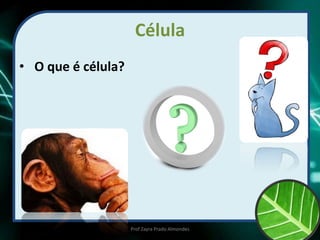 Célula
• O que é célula?
Prof Zayra Prado Almondes
 