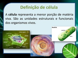 Definição de célula
A célula representa a menor porção de matéria
viva. São as unidades estruturais e funcionais
dos organismos vivos.
Prof Zayra Prado Almondes
 