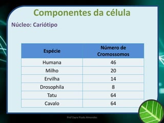 Componentes da célula
Núcleo: Cariótipo
Espécie
Número de
Cromossomos
Humana 46
Milho 20
Ervilha 14
Drosophila 8
Tatu 64
Cavalo 64
Prof Zayra Prado Almondes
 