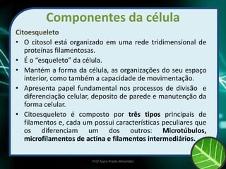 Componentes da célula
Citoesqueleto
• O citosol está organizado em uma rede tridimensional de
proteínas filamentosas.
• É o “esqueleto” da célula.
• Mantém a forma da célula, as organizações do seu espaço
interior, como também a capacidade de movimentação.
• Apresenta papel fundamental nos processos de divisão e
diferenciação celular, deposito de parede e manutenção da
forma celular.
• Citoesqueleto é composto por três tipos principais de
filamentos e, cada um possui características peculiares que
os diferenciam um dos outros: Microtúbulos,
microfilamentos de actina e filamentos intermediários.
Prof Zayra Prado Almondes
 