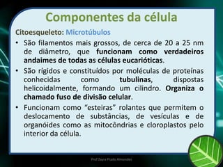 Componentes da célula
Citoesqueleto: Microtúbulos
• São filamentos mais grossos, de cerca de 20 a 25 nm
de diâmetro, que funcionam como verdadeiros
andaimes de todas as células eucarióticas.
• São rígidos e constituídos por moléculas de proteínas
conhecidas como tubulinas, dispostas
helicoidalmente, formando um cilindro. Organiza o
chamado fuso de divisão celular.
• Funcionam como “esteiras” rolantes que permitem o
deslocamento de substâncias, de vesículas e de
organóides como as mitocôndrias e cloroplastos pelo
interior da célula.
Prof Zayra Prado Almondes
 