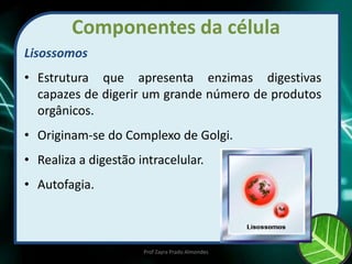 Componentes da célula
Lisossomos
• Estrutura que apresenta enzimas digestivas
capazes de digerir um grande número de produtos
orgânicos.
• Originam-se do Complexo de Golgi.
• Realiza a digestão intracelular.
• Autofagia.
Prof Zayra Prado Almondes
 