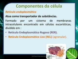 Componentes da célula
Retículo endoplasmático
Atua como transportador de substâncias.
Formado por um sistema de membranas
intracelulares encontrado em células eucarióticas,
dividido em :
• Retículo Endoplasmático Rugoso (RER).
• Retículo Endoplasmático Liso (REL) (agranular).
Prof Zayra Prado Almondes
 