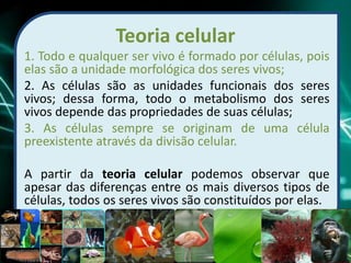 Teoria celular
1. Todo e qualquer ser vivo é formado por células, pois
elas são a unidade morfológica dos seres vivos;
2. As células são as unidades funcionais dos seres
vivos; dessa forma, todo o metabolismo dos seres
vivos depende das propriedades de suas células;
3. As células sempre se originam de uma célula
preexistente através da divisão celular.
A partir da teoria celular podemos observar que
apesar das diferenças entre os mais diversos tipos de
células, todos os seres vivos são constituídos por elas.
Prof Zayra Prado Almondes
 