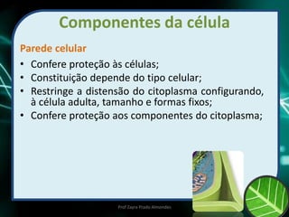 Componentes da célula
Parede celular
• Confere proteção às células;
• Constituição depende do tipo celular;
• Restringe a distensão do citoplasma configurando,
à célula adulta, tamanho e formas fixos;
• Confere proteção aos componentes do citoplasma;
Prof Zayra Prado Almondes
 