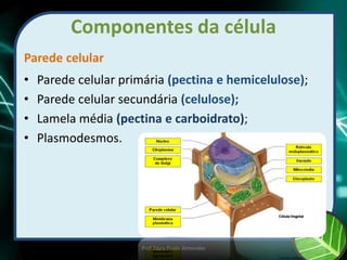 Componentes da célula
Parede celular
• Parede celular primária (pectina e hemicelulose);
• Parede celular secundária (celulose);
• Lamela média (pectina e carboidrato);
• Plasmodesmos.
Prof Zayra Prado Almondes
 