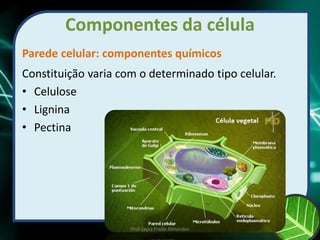 Componentes da célula
Parede celular: componentes químicos
Constituição varia com o determinado tipo celular.
• Celulose
• Lignina
• Pectina
Prof Zayra Prado Almondes
 