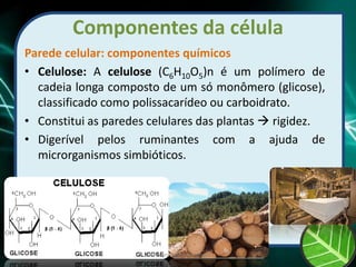Componentes da célula
Parede celular: componentes químicos
• Celulose: A celulose (C6H10O5)n é um polímero de
cadeia longa composto de um só monômero (glicose),
classificado como polissacarídeo ou carboidrato.
• Constitui as paredes celulares das plantas  rigidez.
• Digerível pelos ruminantes com a ajuda de
microrganismos simbióticos.
Prof Zayra Prado Almondes
 