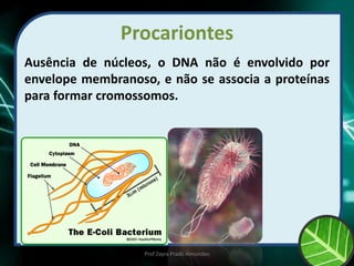 Procariontes
Ausência de núcleos, o DNA não é envolvido por
envelope membranoso, e não se associa a proteínas
para formar cromossomos.
Prof Zayra Prado Almondes
 