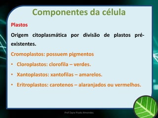 Componentes da célula
Plastos
Origem citoplasmática por divisão de plastos pré-
existentes.
Cromoplastos: possuem pigmentos
• Cloroplastos: clorofila – verdes.
• Xantoplastos: xantofilas – amarelos.
• Eritroplastos: carotenos – alaranjados ou vermelhos.
Prof Zayra Prado Almondes
 