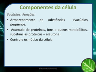 Componentes da célula
Vacúolos: Funções
• Armazenamento de substâncias (vacúolos
pequenos.
• Acúmulo de proteínas, íons e outros metabólitos,
substâncias protéicas – aleurona)
• Controle osmótico da célula
Prof Zayra Prado Almondes
 