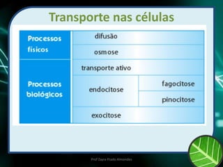 Transporte nas células
Prof Zayra Prado Almondes
 
