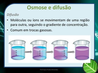 Osmose e difusão
Difusão
• Moléculas ou íons se movimentam de uma região
para outra, seguindo o gradiente de concentração.
• Comum em trocas gasosas.
Prof Zayra Prado Almondes
 