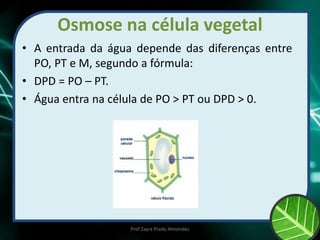 Osmose na célula vegetal
• A entrada da água depende das diferenças entre
PO, PT e M, segundo a fórmula:
• DPD = PO – PT.
• Água entra na célula de PO > PT ou DPD > 0.
Prof Zayra Prado Almondes
 