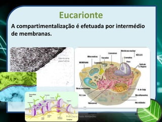 Eucarionte
A compartimentalização é efetuada por intermédio
de membranas.
Prof Zayra Prado Almondes
 