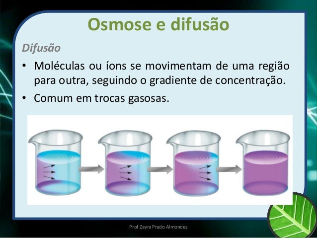Osmose: Aprenda O Que É, Como Ocorre E O Equilíbrio Osmótico – EXFNKL