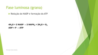 Fase luminosa (grana)
 Redução do NADP e formação do ATP
4H2O + 2 NADP → 2 NAPH2 + 2H2O + O2
ADP + P → ATP
Prof Zayra Prado Almondes
 