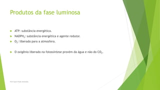 Produtos da fase luminosa
 ATP: substância energética.
 NADPH2: substância energética e agente redutor.
 O2: liberado para a atmosfera.
 O oxigênio liberado na fotossíntese provém da água e não do CO2.
Prof Zayra Prado Almondes
 