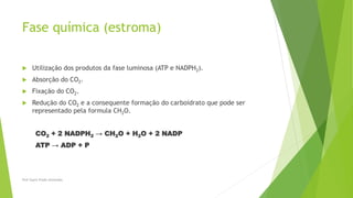 Fase química (estroma)
 Utilização dos produtos da fase luminosa (ATP e NADPH2).
 Absorção do CO2.
 Fixação do CO2.
 Redução do CO2 e a consequente formação do carboidrato que pode ser
representado pela formula CH2O.
CO2 + 2 NADPH2 → CH2O + H2O + 2 NADP
ATP → ADP + P
Prof Zayra Prado Almondes
 