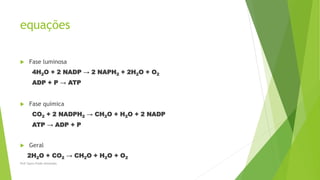 equações
 Fase luminosa
4H2O + 2 NADP → 2 NAPH2 + 2H2O + O2
ADP + P → ATP
 Fase química
CO2 + 2 NADPH2 → CH2O + H2O + 2 NADP
ATP → ADP + P
 Geral
2H2O + CO2 → CH2O + H2O + O2
Prof Zayra Prado Almondes
 