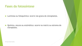 Fases da fotossíntese
 Luminosa ou fotoquímica: ocorre nos grana do cloroplastos.
 Química, escura ou enzimática: ocorre na matriz ou estroma do
cloroplasto.
Prof Zayra Prado Almondes
 