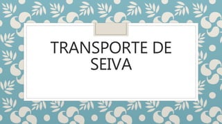 TRANSPORTE DE
SEIVA
 