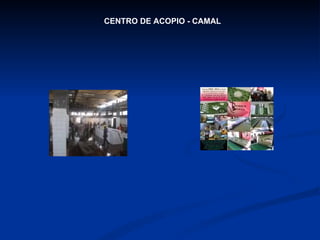 CENTRO DE ACOPIO - CAMAL 