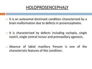 HOLOPROSENCEPHALY
 It is an autosomal dominant condition characterized by a
brain malformation due to defects in prosencephalon.
 It is characterized by defects including cyclopia, single
nostril, single central incisor and premaxillary agenesis.
 Absence of labial maxillary frenum is one of the
characteristic features of this condition.
 