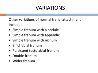 VARIATIONS
Other variations of normal frenal attachment
Include:
• Simple frenum with a nodule
• Simple frenum with appendix
• Simple frenum with nichum
• Bifid labial frenum
• Persistent tectolabial frenum
• Double frenum
• Wider frenum
 