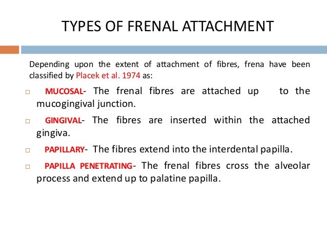 Frenum attachment and it's management.