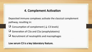 Complement C3 Lab Test MECHANISM OF IMMUNE COMPLEX GLOMERULONEPHRITIS IN INFECTIVE ...