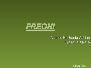 Nume: Harhaciu Adrian
Clasa: a XI-a A

FREONI – AGENTI FRIGORIFICI
LTCN Sibiu

 