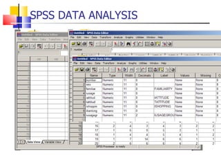 SPSS DATA ANALYSIS 