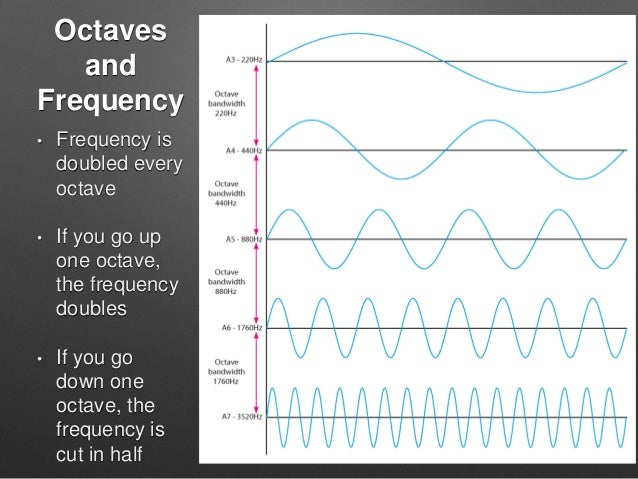 app frequency noise high Frequency app frequency noise high Frequency